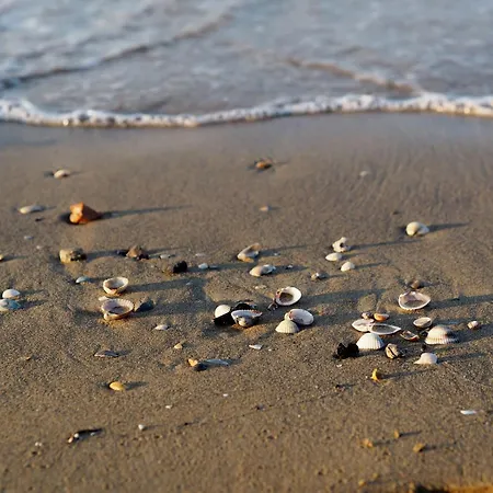 アパート Comfortable In