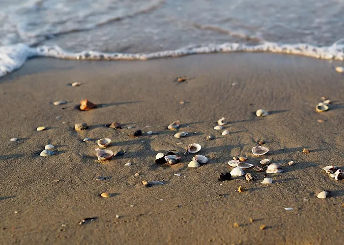 アパート Comfortable In